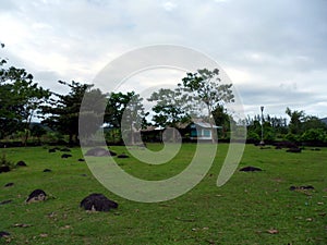 Field in Cagsawa on the Philippines January 18, 2012 photo