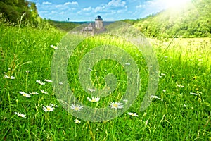 Green meadow on castle Karlstein background