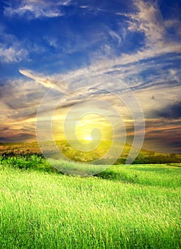 Green meadow with cloudy sky