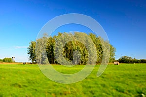 Green meadow, copse and blue sky - blurry and contrasting colors