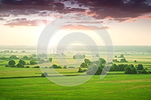 Green meadow at dawn