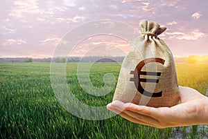 Green meadow field of young wheat and euro money bag. World food security crisis, high prices. World hunger. Grains cereals