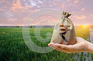 Green meadow field of young wheat and indian rupee money bag. World hunger. Grains cereals deficits. Starvation. Agroindustry and