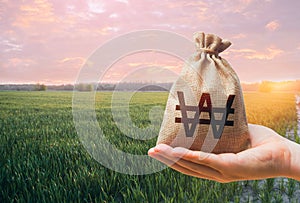 Green meadow field of young wheat and south korean won money bag. World hunger. Grains cereals deficits. Agroindustry and the