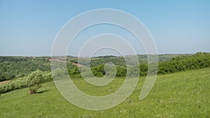 Green meadow, forest and clear skies