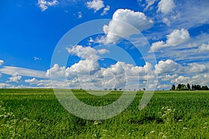 Landscape window, idyll with green meadow and wide sky