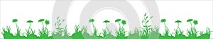 Green meadow gerbera flower vector illustration. Green grass daisy flower vector silhouette