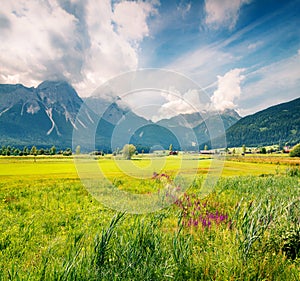 Green meadow on the Golf club Zugspitze, Lermoos village location