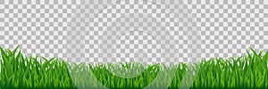 Green Meadow Grass Border Isolated On Transparent Background.