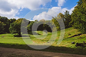 Green meadow, hills and trees landscape Jaegersborg, Copenhagen. photo