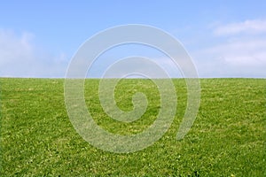 Green meadow horizon and blue sky