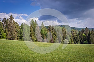 Klastorisko in Slovak Paradise Park