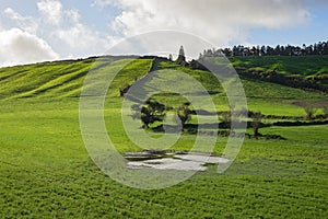 Green meadow landscape countryside field of New Zealand island