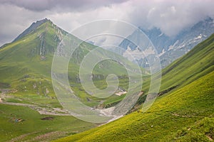 Green meadow landscape high up in the HImalayas. Great Lake Trek in Kashmir. Mountains in Gangabal Lake vicinity