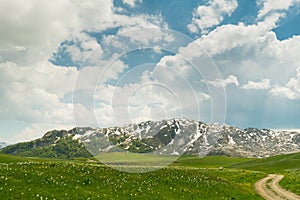 green meadow in Lukavica Plateau in the spring, Montenegro photo