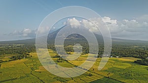 Green meadow at Mayon volcano eruption aerial. Nobody nature landscape of cloudy fog above mount