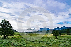 Green Meadow and Misty Mountains