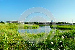 Green meadow and office buildings