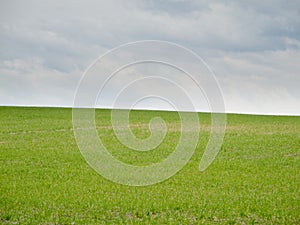 Green meadow with an overcast sky