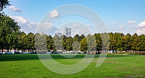 Green meadow in a park in a city, background.
