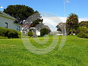 Green meadow in San Francisco Presidio Park photo