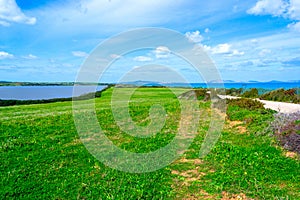 Green meadow by the sea in Fiume Santo shore