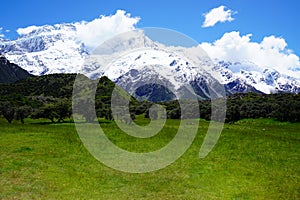 Green meadow with snow capped mountains under blue sky