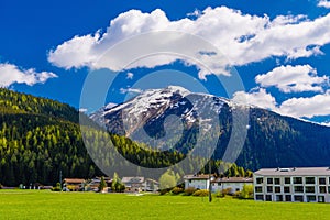 Green meadow and snowy mountains near Davos, Graubuenden Switzer