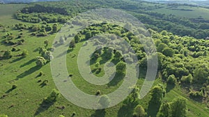 Green meadow in the spring, countryside hills from above, aerial view