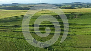 Green meadow in the spring, countryside hills from above, aerial view