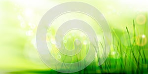 Green meadow. Spring nature background.  Abstract vector illustration.