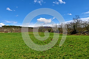 Green meadow in spring near Divaca in Primorska, Slovenia photo