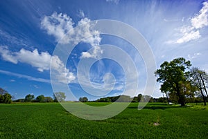 A green meadow and a sunny, blue sky