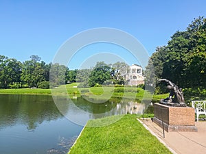 Green meadow with trees and grass in the city park in spring,