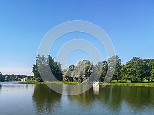 Green meadow with trees and grass in the city park in spring,