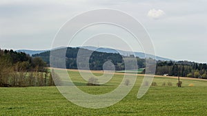 Green meadow, trees with hill Klet and blue sky