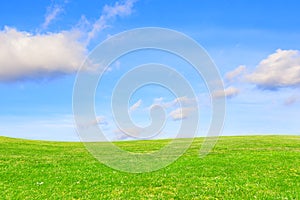 Green meadow under clear sky. Green earth