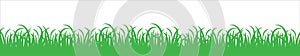Green meadow vector illustration. Green grass vector silhouette