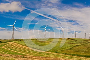 Green meadow with Wind turbines generating electricity