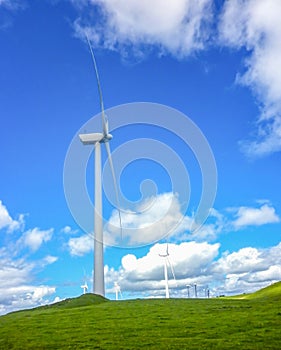 Green meadow with wind turbines generating electricity