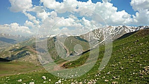 The green meadows of Alborz mountains , Iran