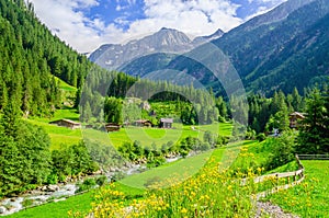 Green meadows, alpine cottages in Alps, Austria