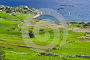 Green meadows and blue sea