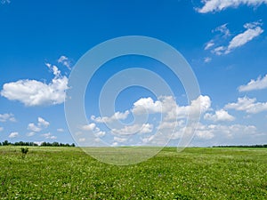 Green meadows and fields. White clouds in the blue sky
