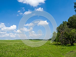Green meadows and fields. White clouds in the blue sky