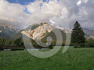 Green Meadows, Fir Trees and Italian Alps Mountains in the Background on a Summer Day - San Vigilio Marebbe, Italy