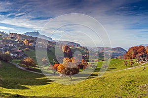 Green meadows near town of interlaken, canton of Bern