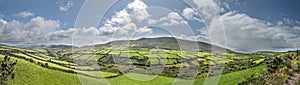 Green meadows panorama near Dingle