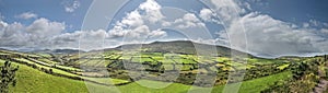 Green meadows panorama near Dingle photo