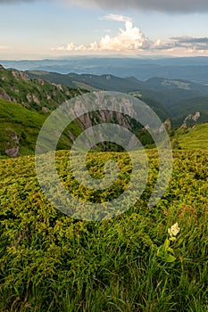 Green meadows with rocks in Romanian mountains in Muntii Ciucas photo